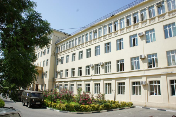 TƏBİB-dən it dişləyən uşaqla bağlı açıqlama